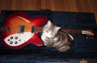 Do Cats (and other animals) Make Music?