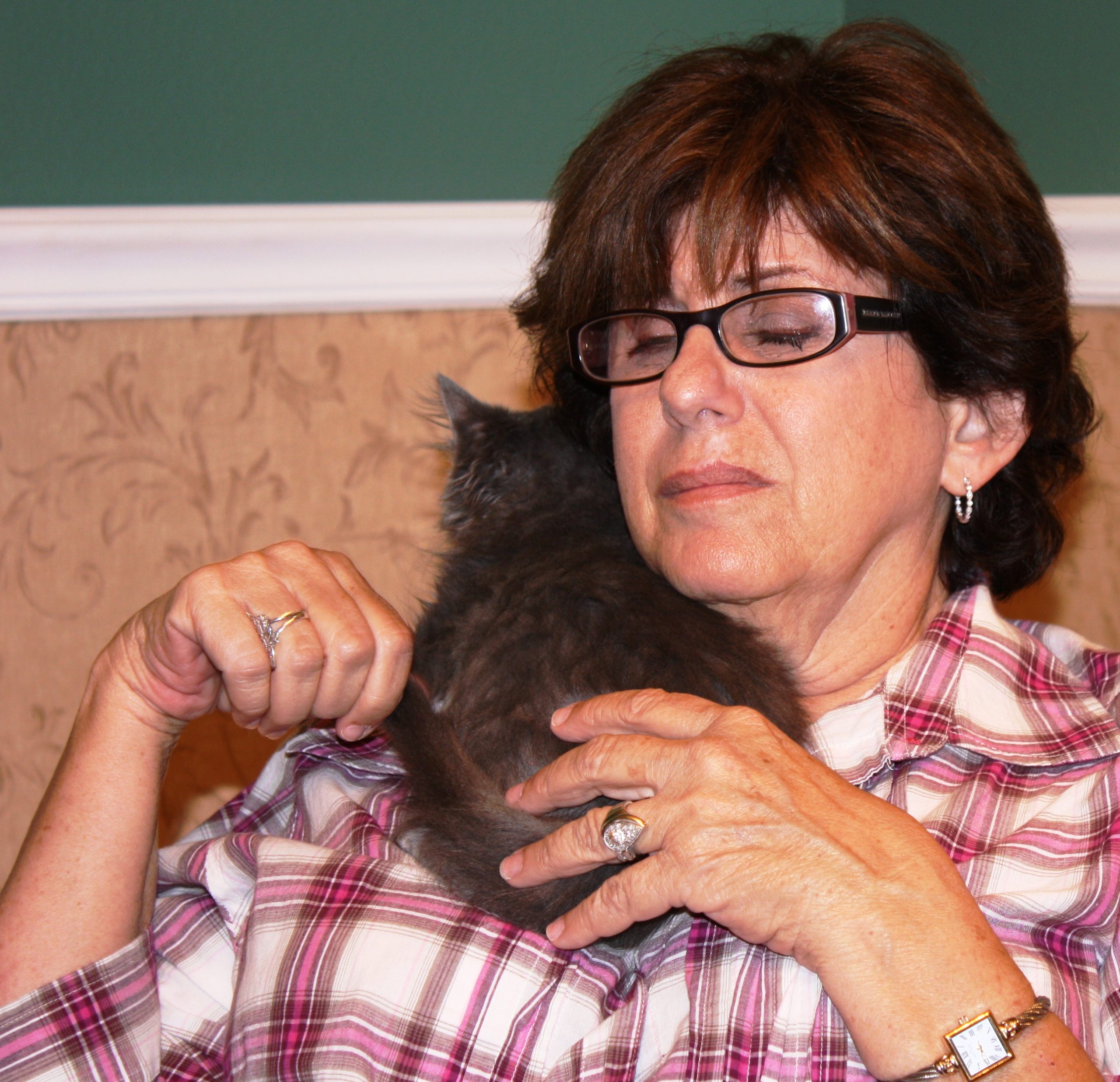 Does it look like this cat hates her owner? Photo by Jacqueline Munera.