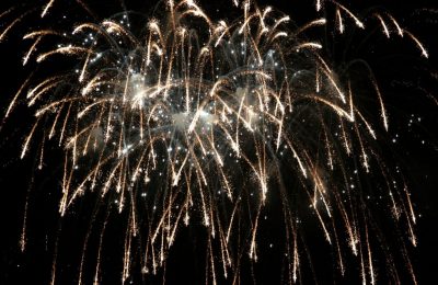 Quick Tips for Keeping Fireworks-Day Feline Friendly