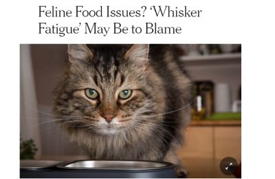 Whisker stress: Science asks if it is real