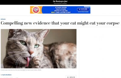 Cats eating humans redux: a clowder will devour