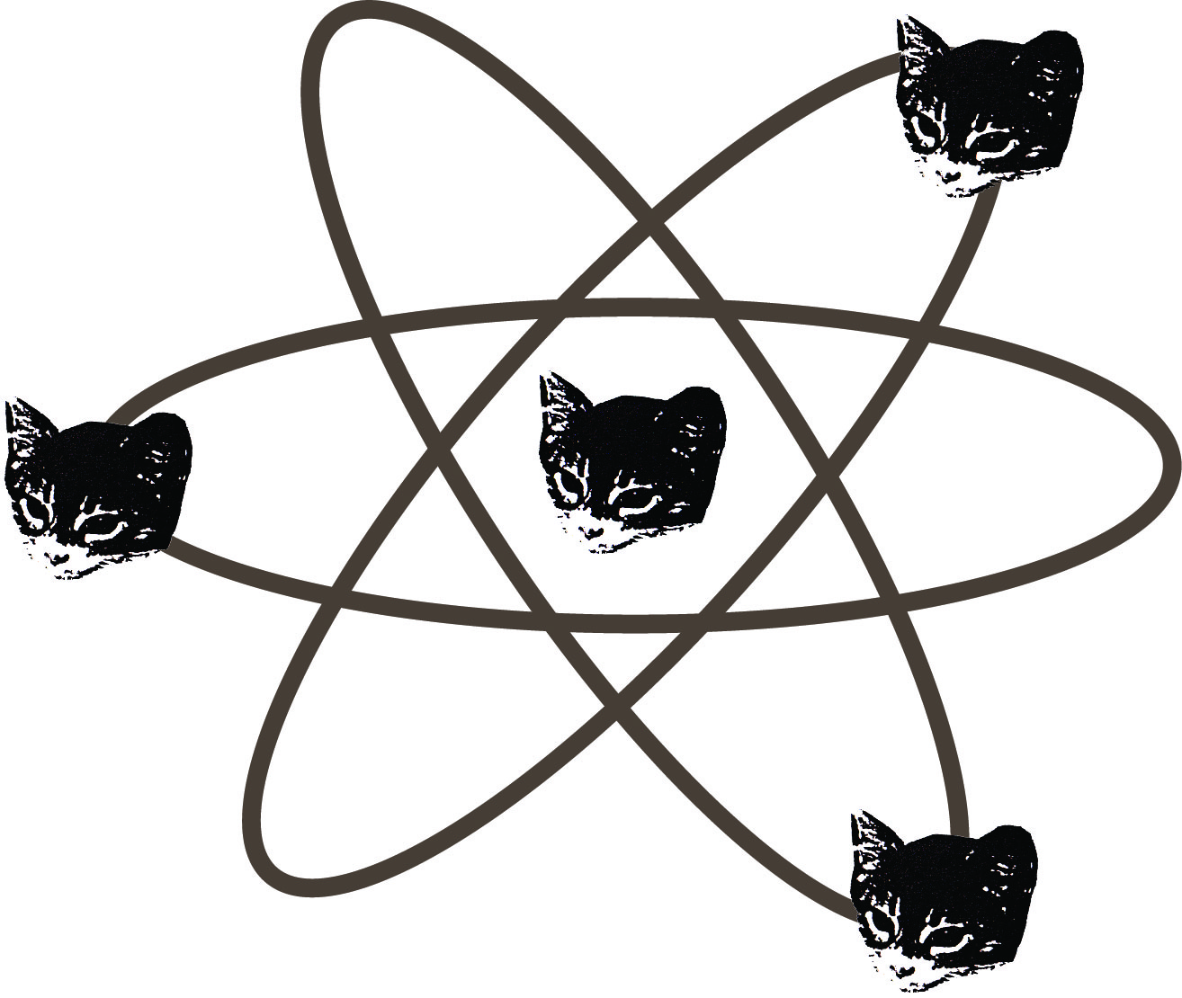 The Science Behind Being a Cat Person