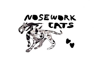 Nosework: Scent based enrichment FOR YOUR CAT!!