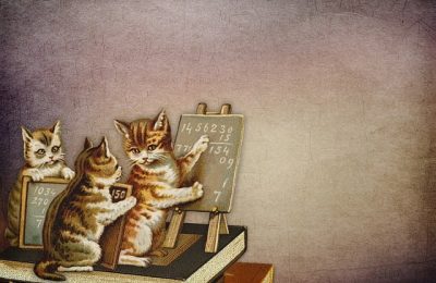 Can kittens do math? What a new study tells us about cats’ cognitive abilities