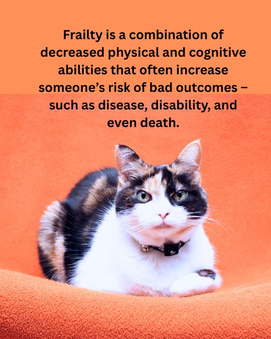 Frailty-is-a-combination-of-decreased-physical-and-cognitive-abilities-that-often-increase-someones-risk-of-bad-outcomes-%E2%80%93-such-as-disease-disability-and-even-death-1.jpg