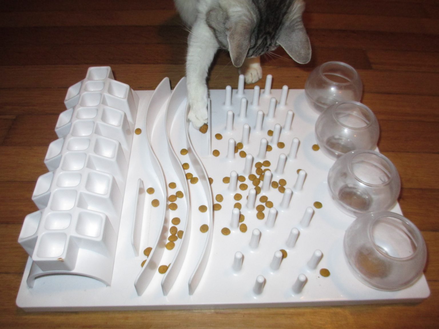 Provide problem-solving opportunities